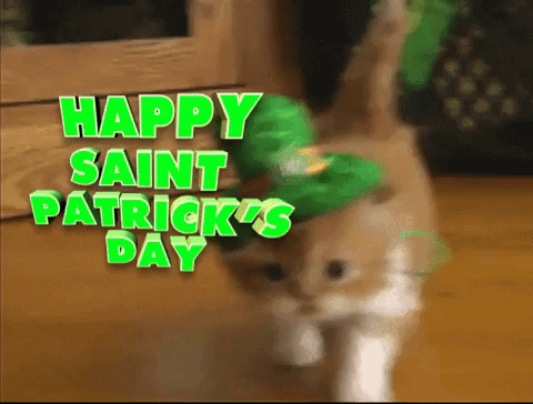 Saint Patrickitty