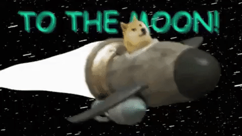 Doge in a rocket going to the moon